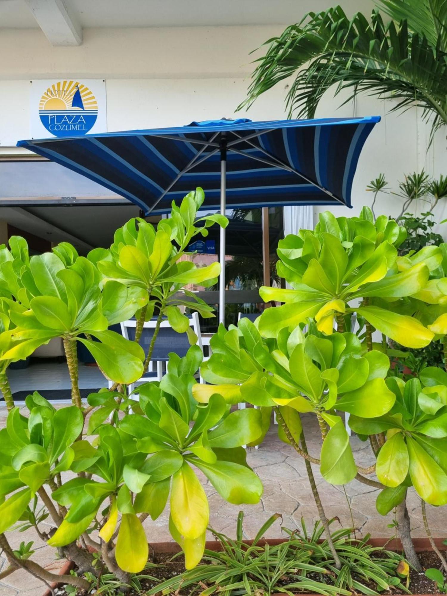Hotel Plaza Cozumel Exterior photo